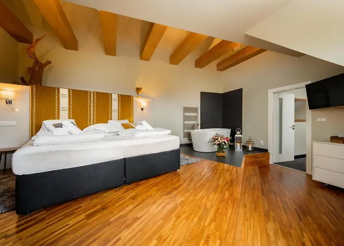 Premier- Adults Only Hotel Bedřichov